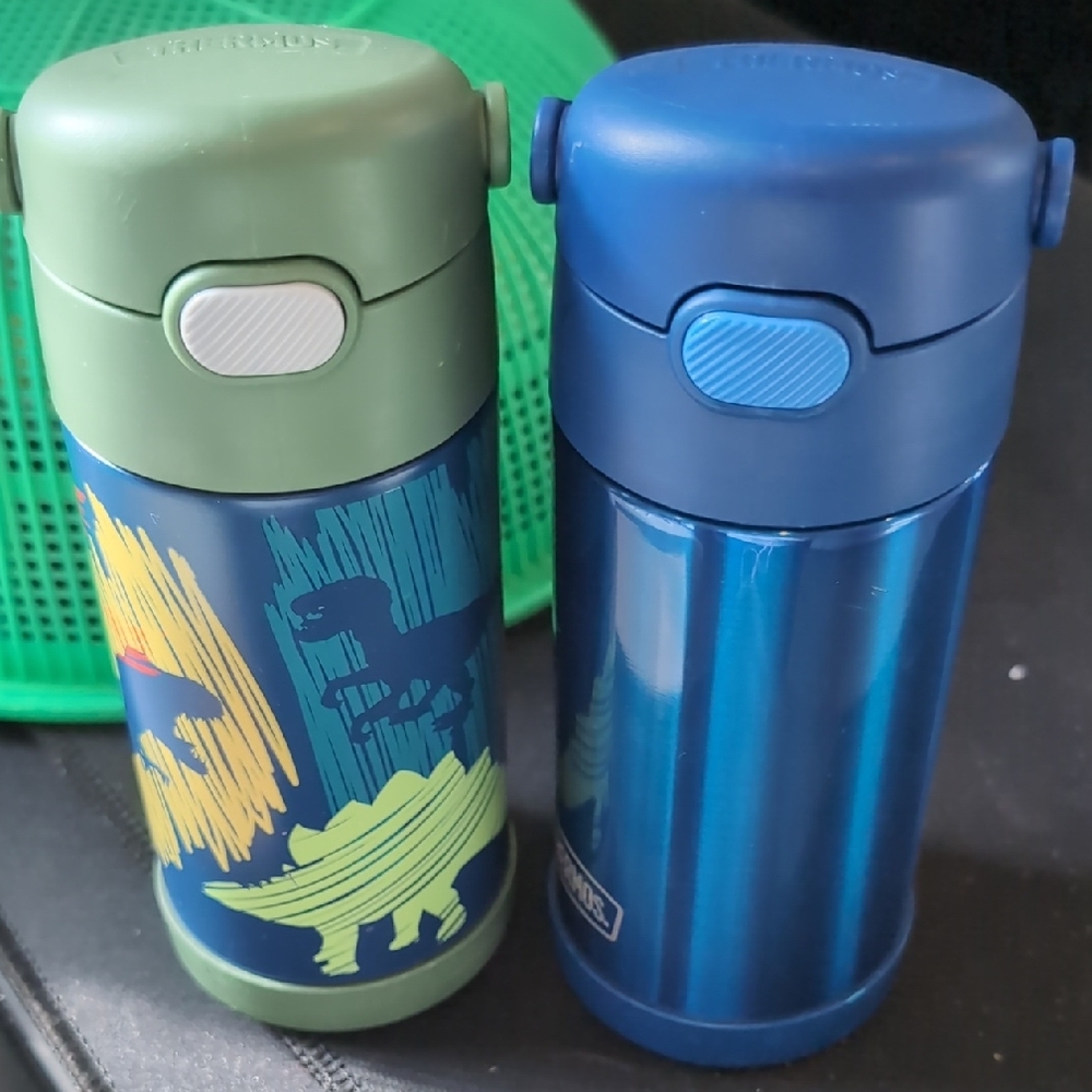 Thermos Kids Bottles in Green and Blue with Dinosaur Design